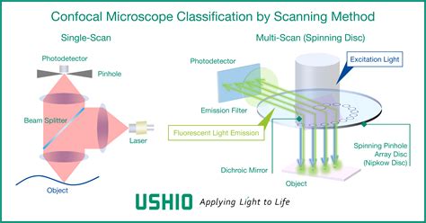 thickness of confocal scanning